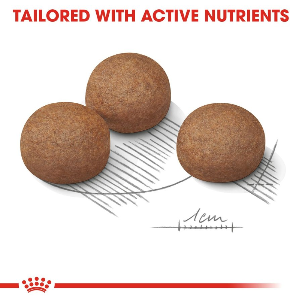 Royal Canin Maxi Digestive Care Dog Dry Food image 2