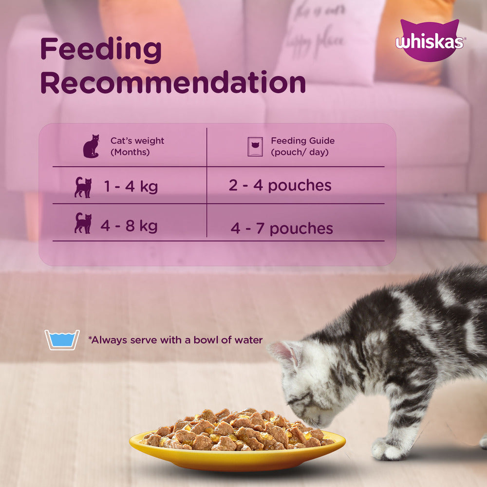 Whiskas Chicken with Salmon in Jelly Kitten (2-12 Months) Cat Wet Food image 6