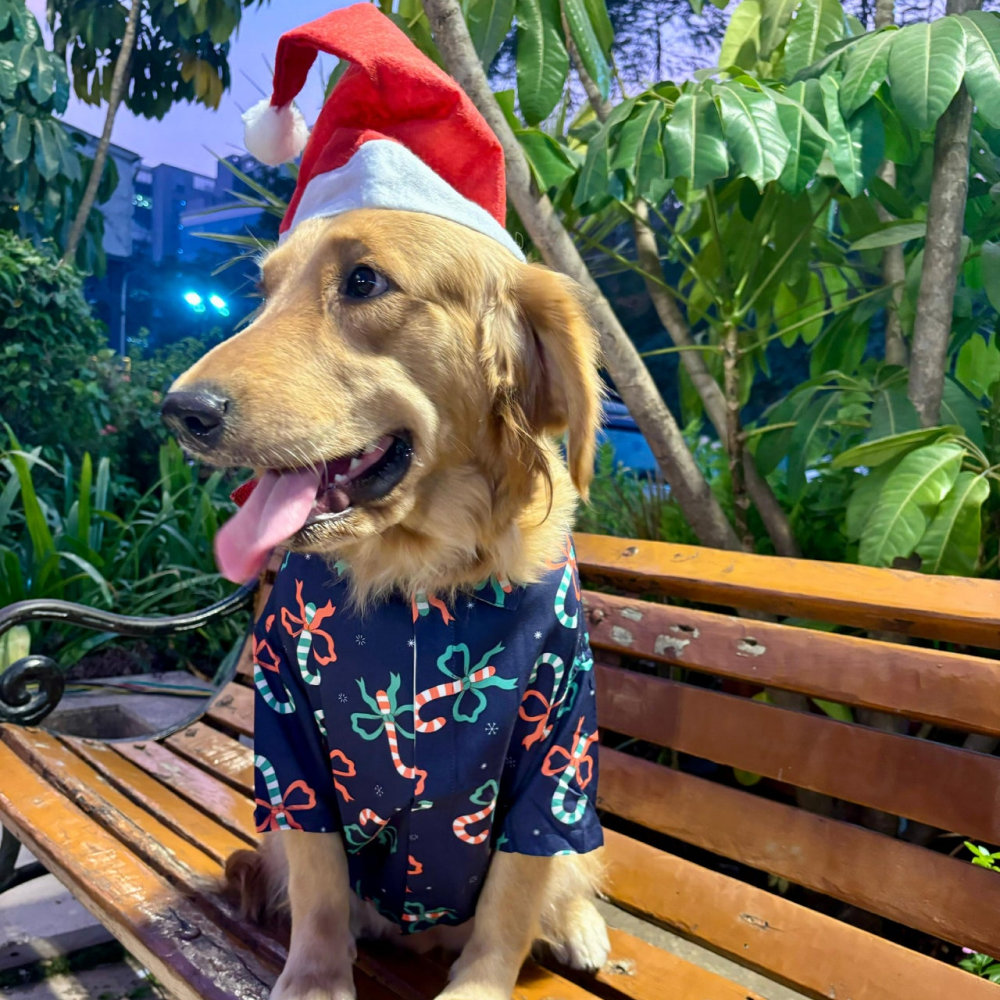 15 Furries Candy Cane Decor Shirt for Dogs