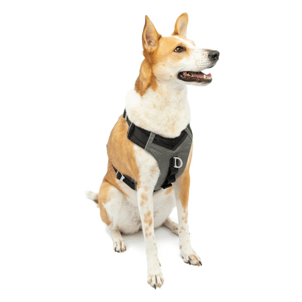 Kurgo Journey Air Harness for Dogs (Black/Gargoyle Grey) image 6