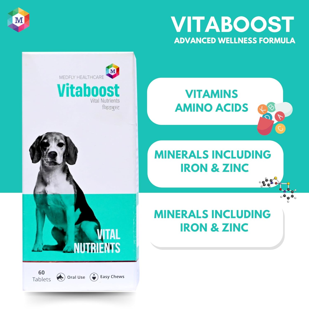 Medfly Healthcare Vitaboost for Dogs and Cats (Pack of 60 Tablets) image 5
