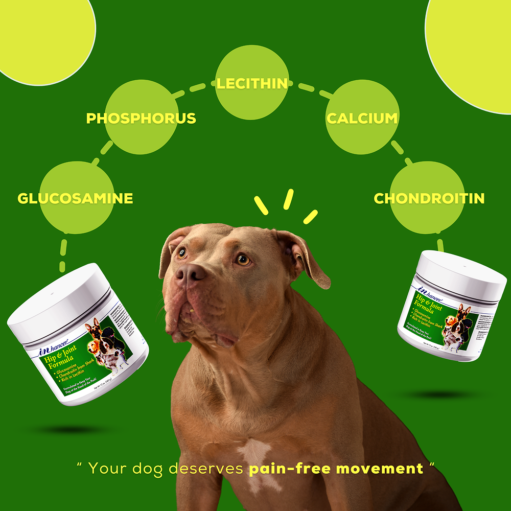 Venttura Inhancer Hip & Joint Soft Nuggets Supplements for Dogs image 7