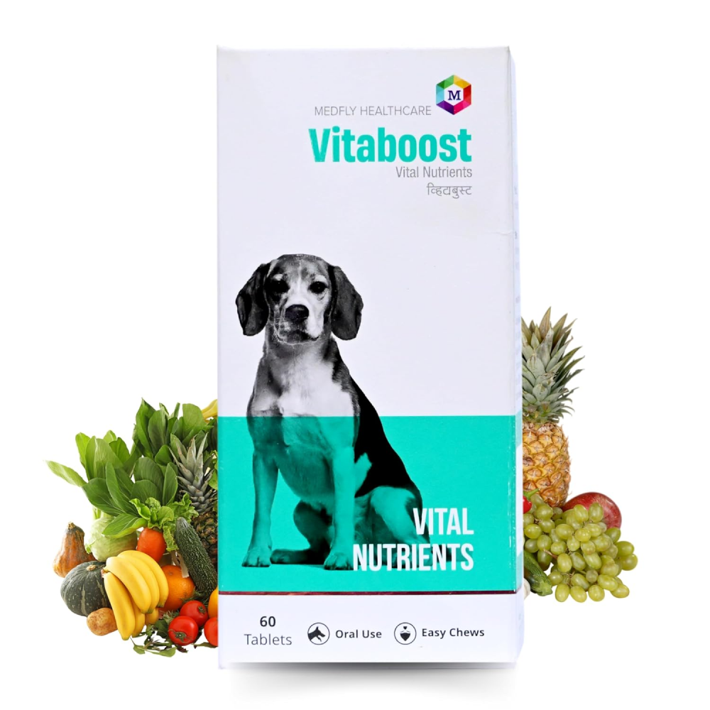 Medfly Healthcare Vitaboost for Dogs and Cats (Pack of 60 Tablets) image 3