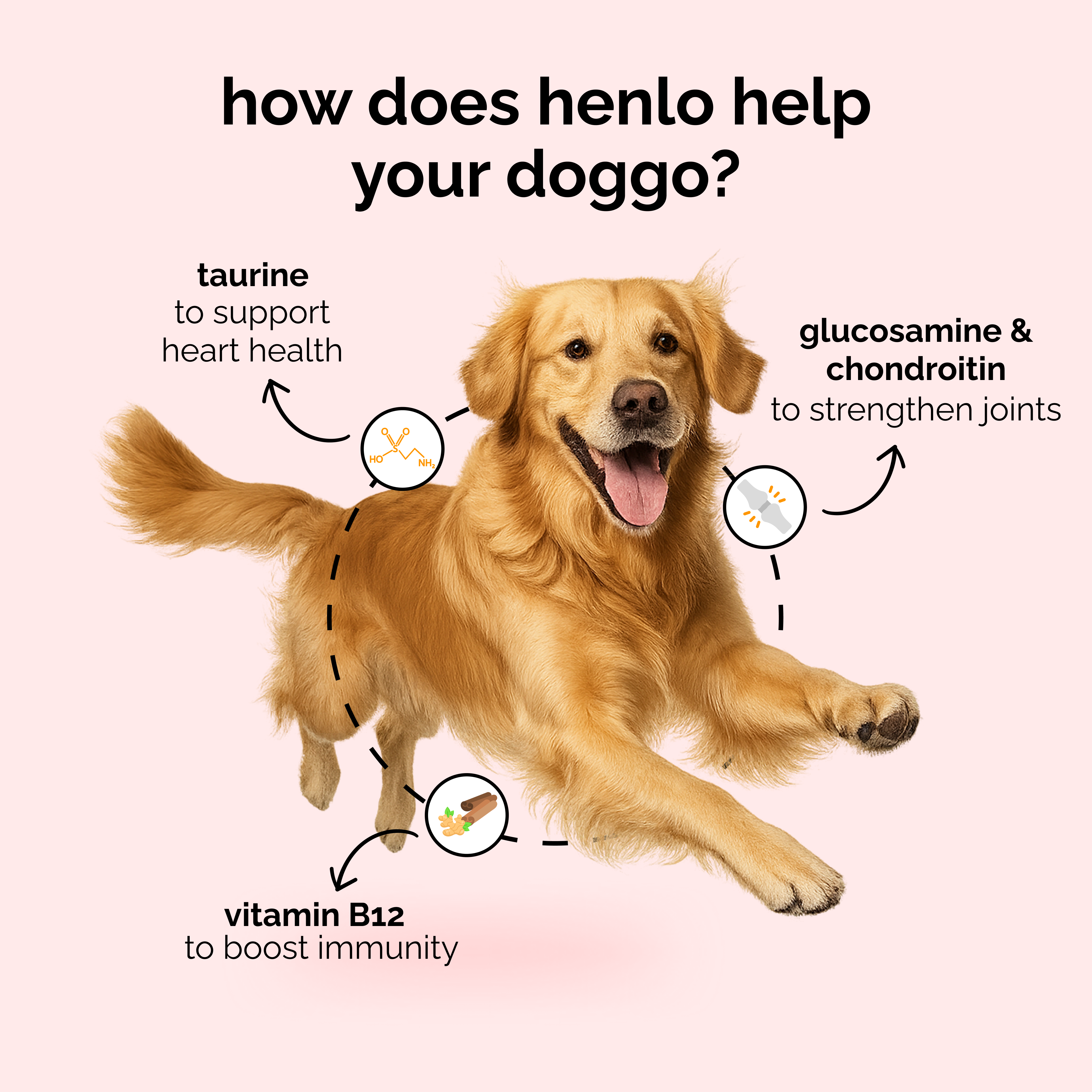 Henlo Baked Chicken & Liver Adult and Puppy Dog Dry Food | 100% human grade ingredients image 4