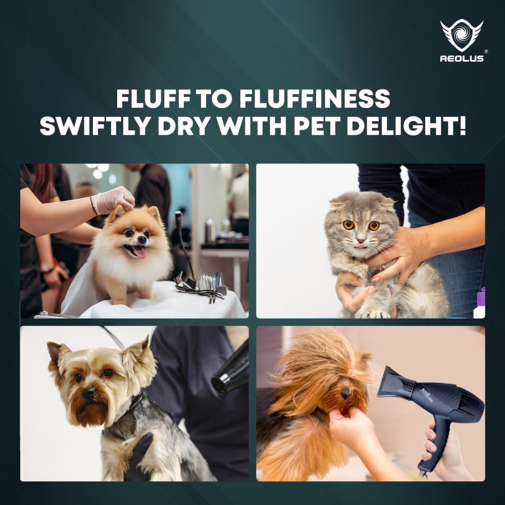 Trixie Supalite Handheld Dryer for Dogs and Cats image 5