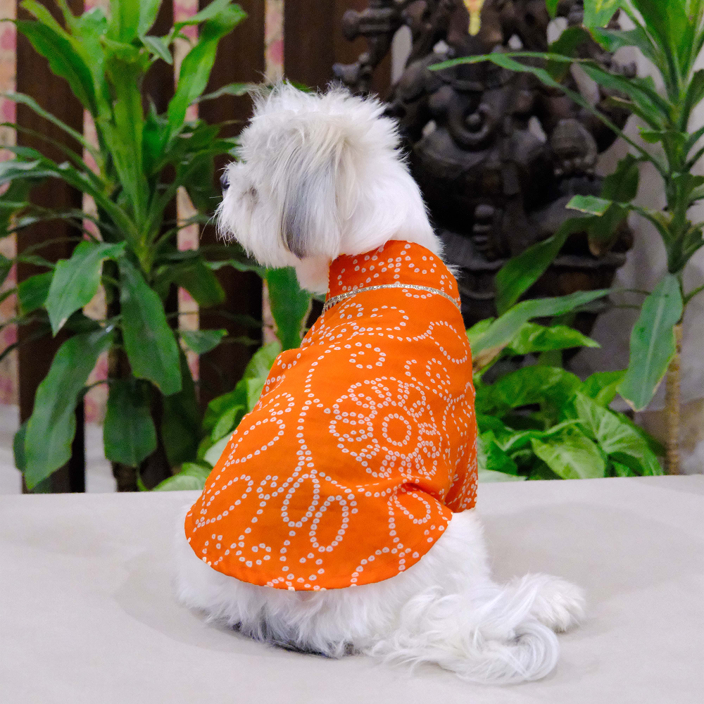 Pets Way Bandhani Print Kurta for Dogs (Rust) image 3