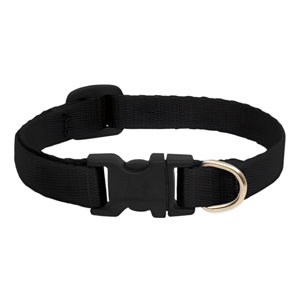 Skatrs Adjustable Collar with Bell for Cats & Kittens Lime Green and Black Combo image 3