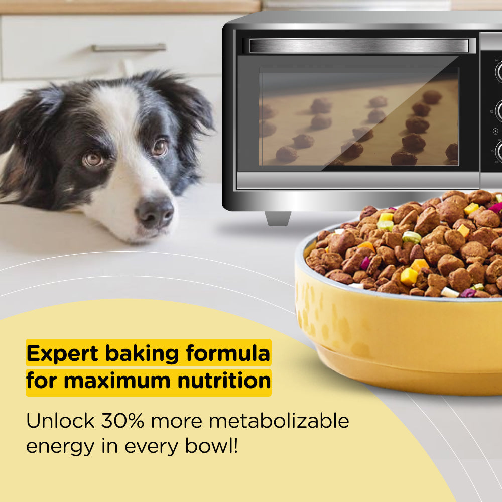 Henlo Baked Adult Dry Food and Royal Canin Chunks In Gravy Labrador Retriever Adult Wet Dog Food Combo image 3
