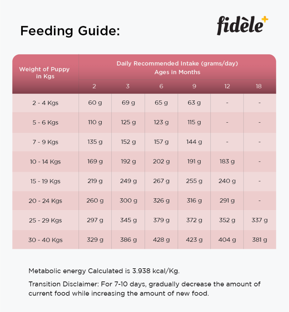 Fidele Plus Small and Medium Puppy Dry Food image 4