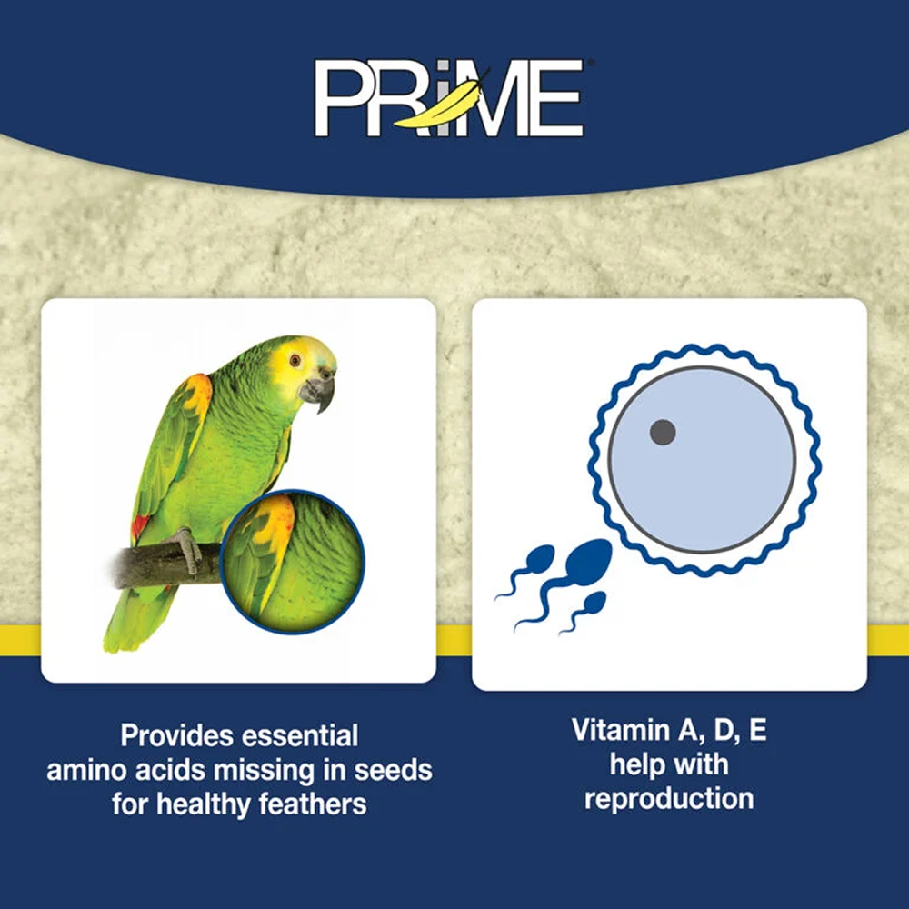 Hari Prime Vitamin Supplement image 2