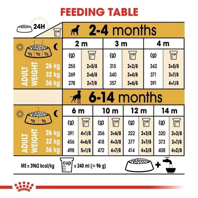Royal Canin Boxer Puppy Dog Dry Food image 4