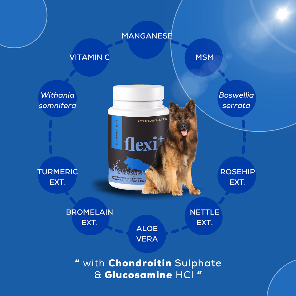 Venttura Flexi Plus Hip and Joint Chewable Tablets for Dogs image 2