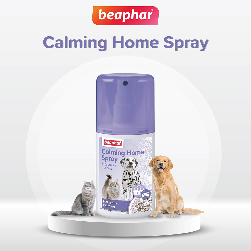 Beaphar Calming Home Spray for Dogs and Cats image 6