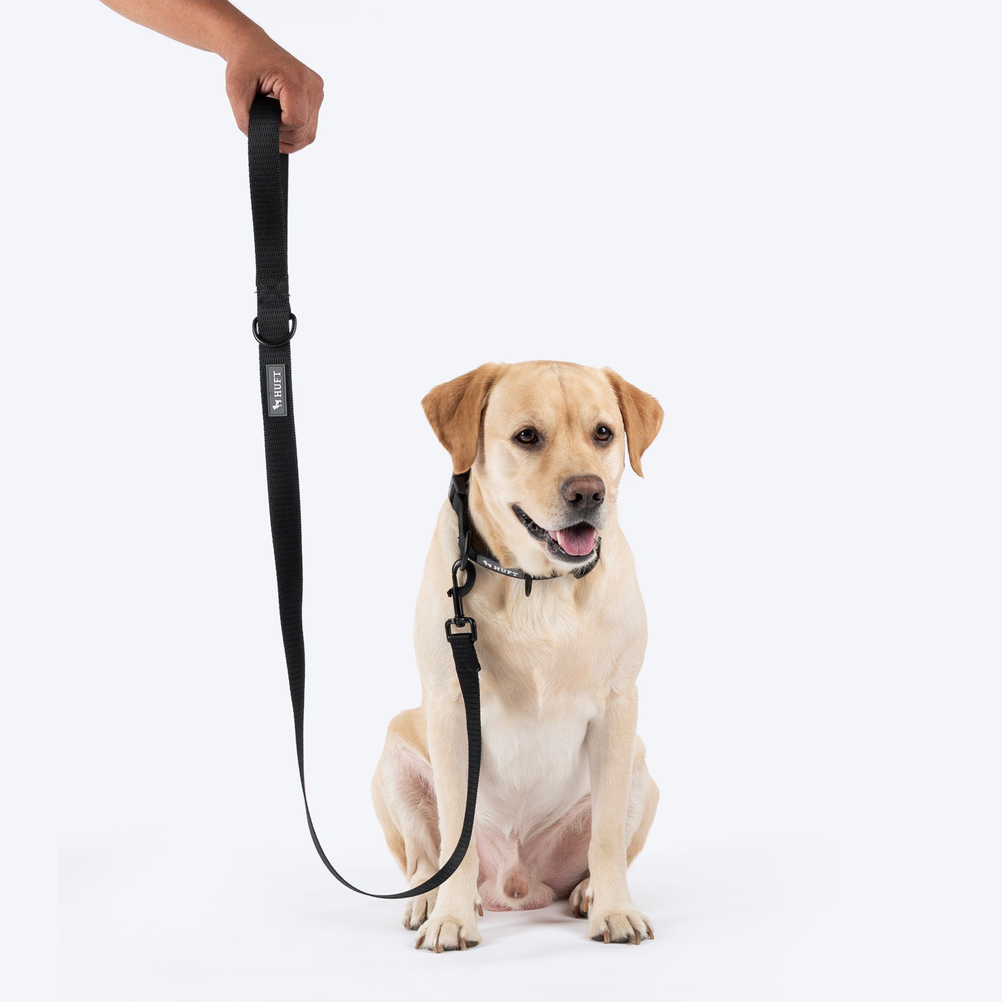 HUFT Classic Leash for Dogs (Coal Black) image 3