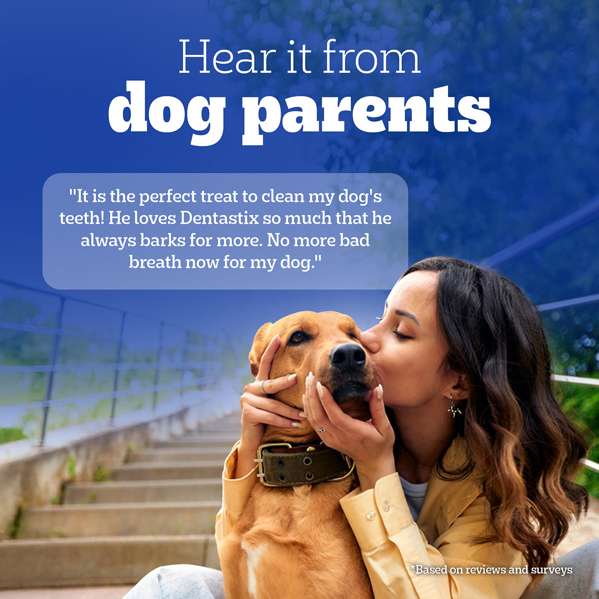 Pedigree Dentastix Oral Care for Adult (Small Breed of 5 to 10 kg) Dog Treats image 8