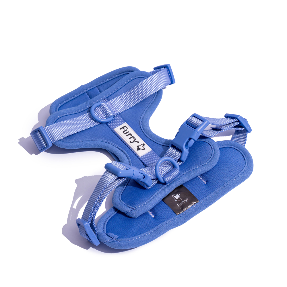 Furry & Co Bold Harness for Dogs (Everest Blue) image 3