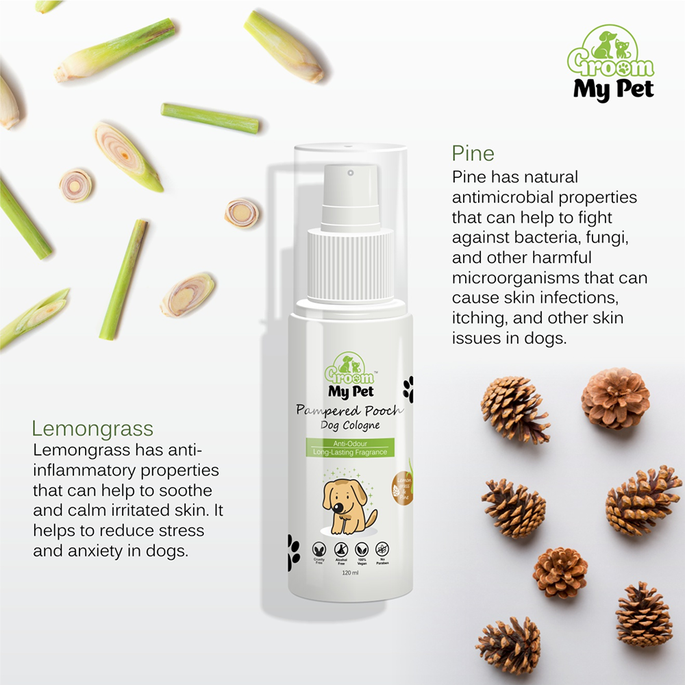 Groom My Pet Lemongrass & Pine Pampered Pooch Cologne for Dogs image 3