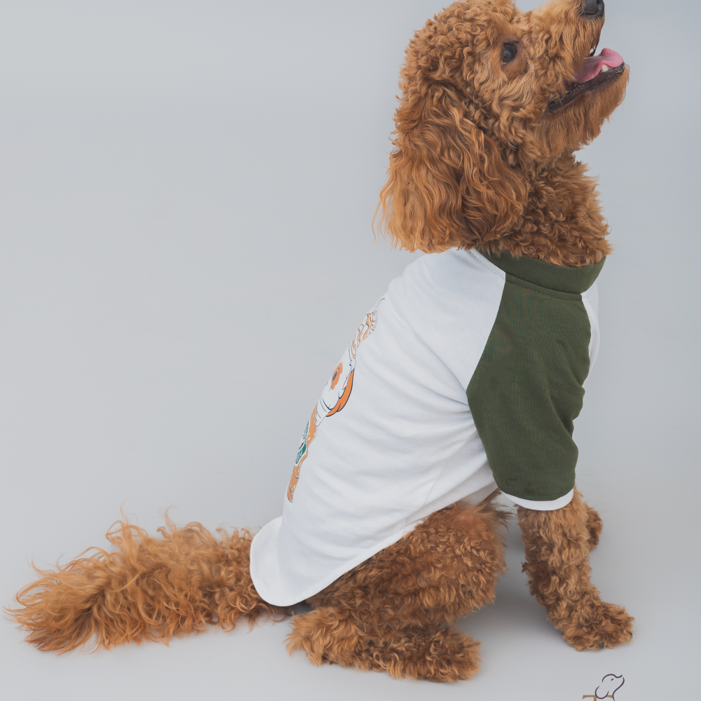 The Papaw Cartel Puppacino Dog Tshirt for Dogs (White/Olive/Green) image 5
