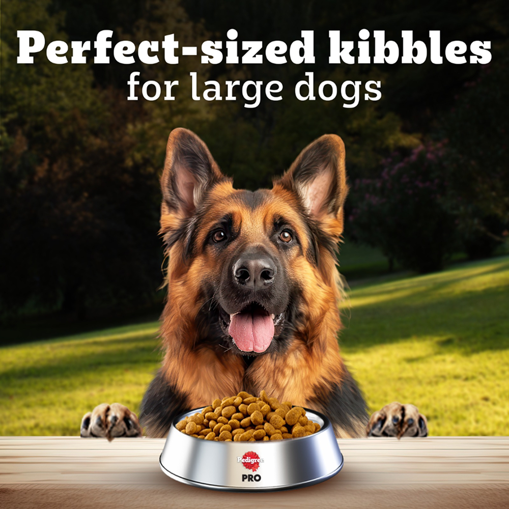 Pedigree PRO Expert Nutrition Active Adult (18 Months Onwards) Large Breed Dog Dry Food image 7
