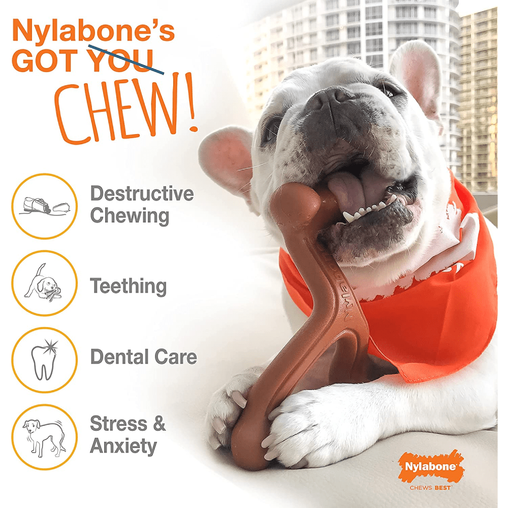 Nylabone Chili Cheese,Buttered Popcorn and Cherry Slushy Flavoured Triple Power Chew Frenzy Bone Toy for Dogs (Yellow, Brown, Beige, Red) image 5