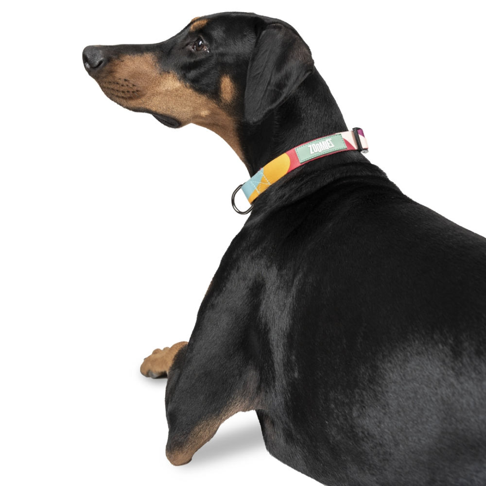 Zoomiez Swirl Printed Collar for Dogs image 4