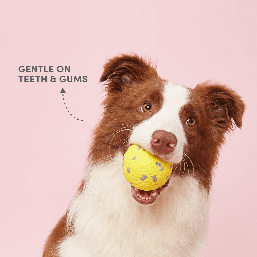 Barkbutler x Fofos Super Bounce Chew Ball for Dogs (Yellow) | For Aggressive Chewers image 8