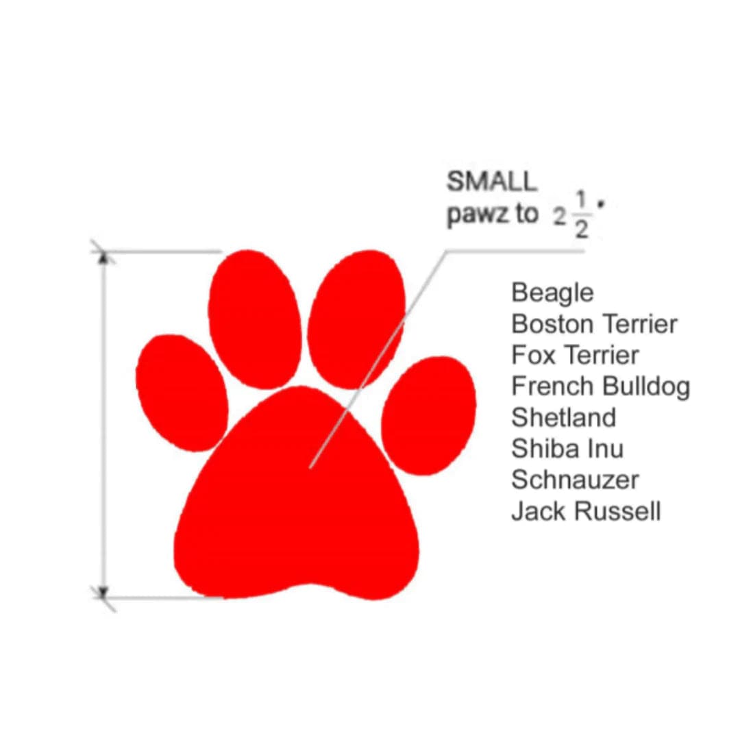 Protex PawZ Disposable and Reusable Bootz for Dogs (Orange) image 4