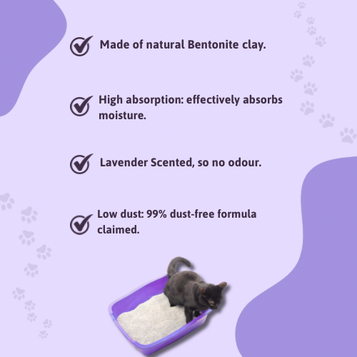 BearHugs Lavender Scented Bentonite Cat Litter image 4