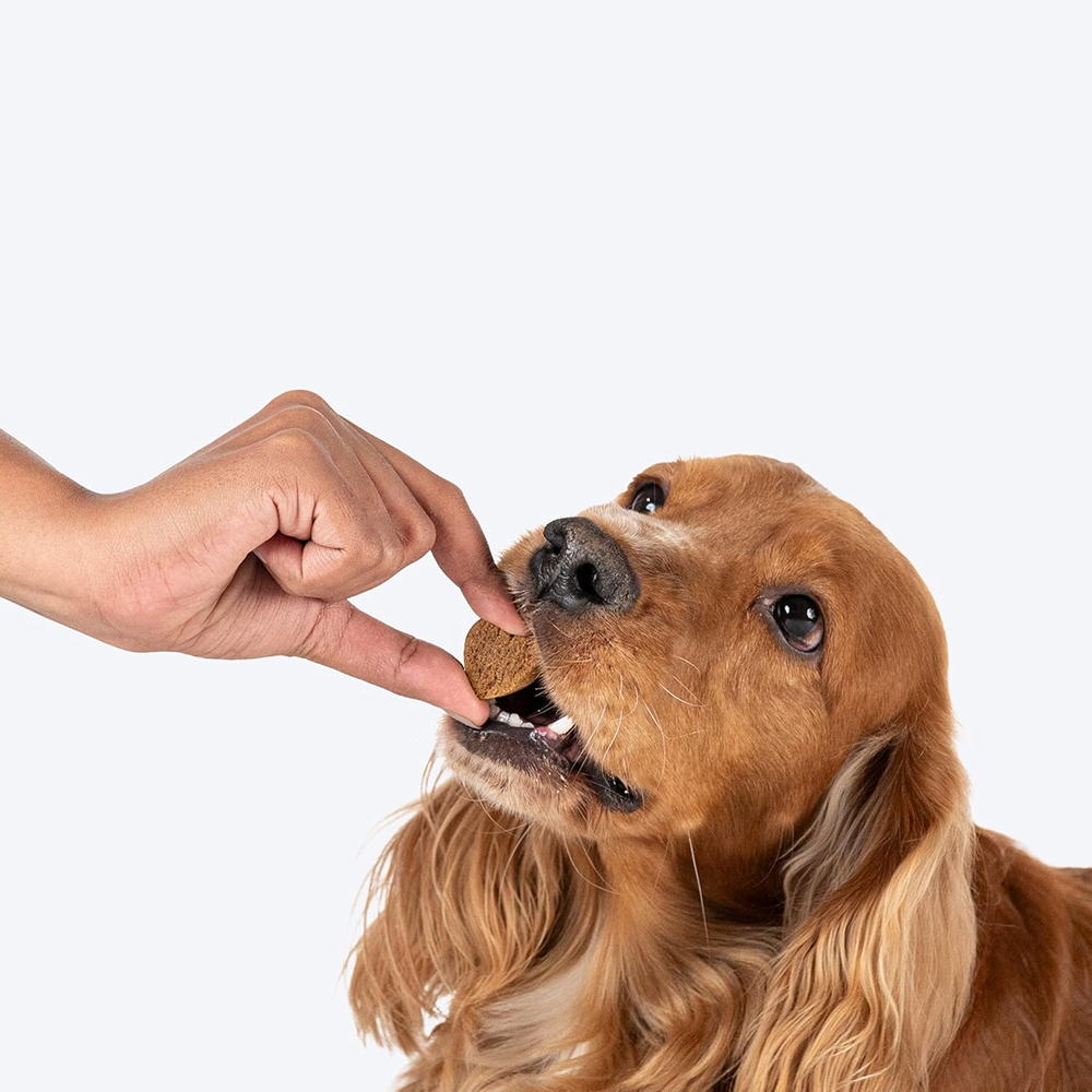 HUFT Hearty Chicken & Cranberries Healthy Biscuit Dog Treats image 6