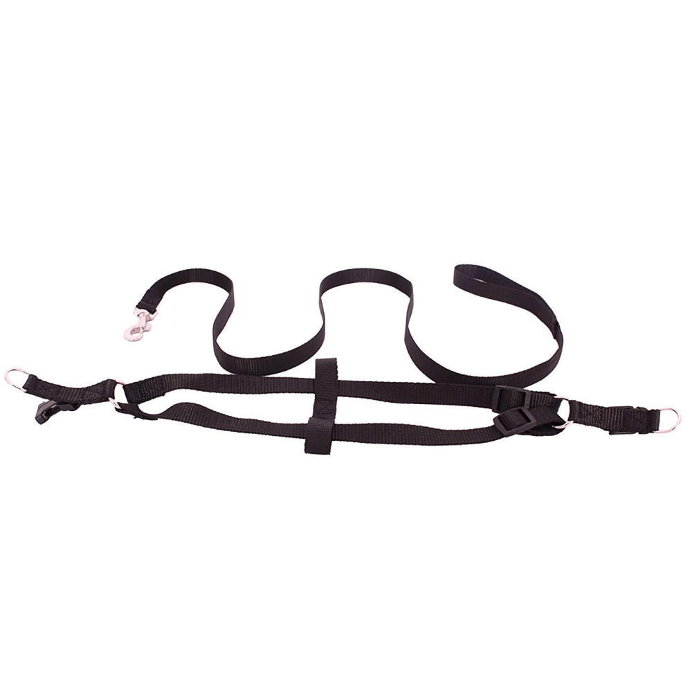Emily Pets Leash And Harness Set for Dogs and Cats (Black) image 3