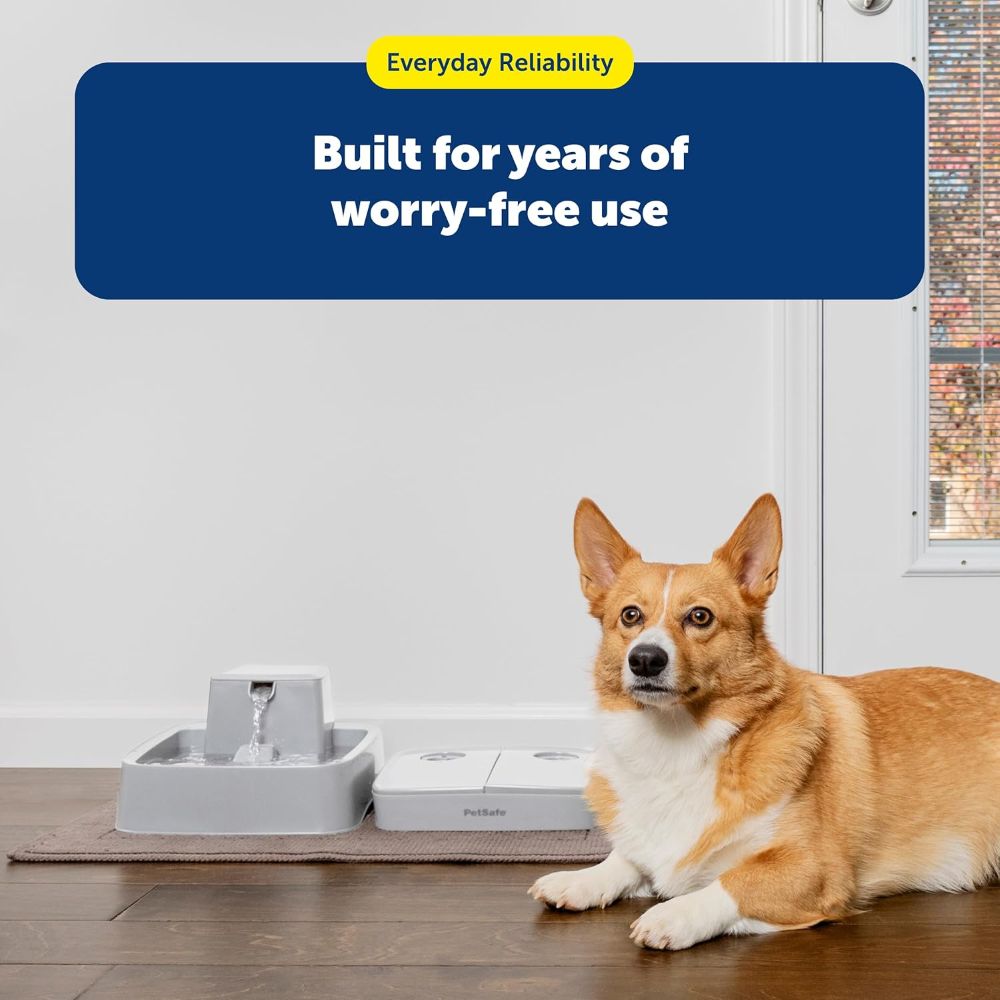 PetSafe 2 Meal Automatic Pet Feeder for Dogs and Cats image 8