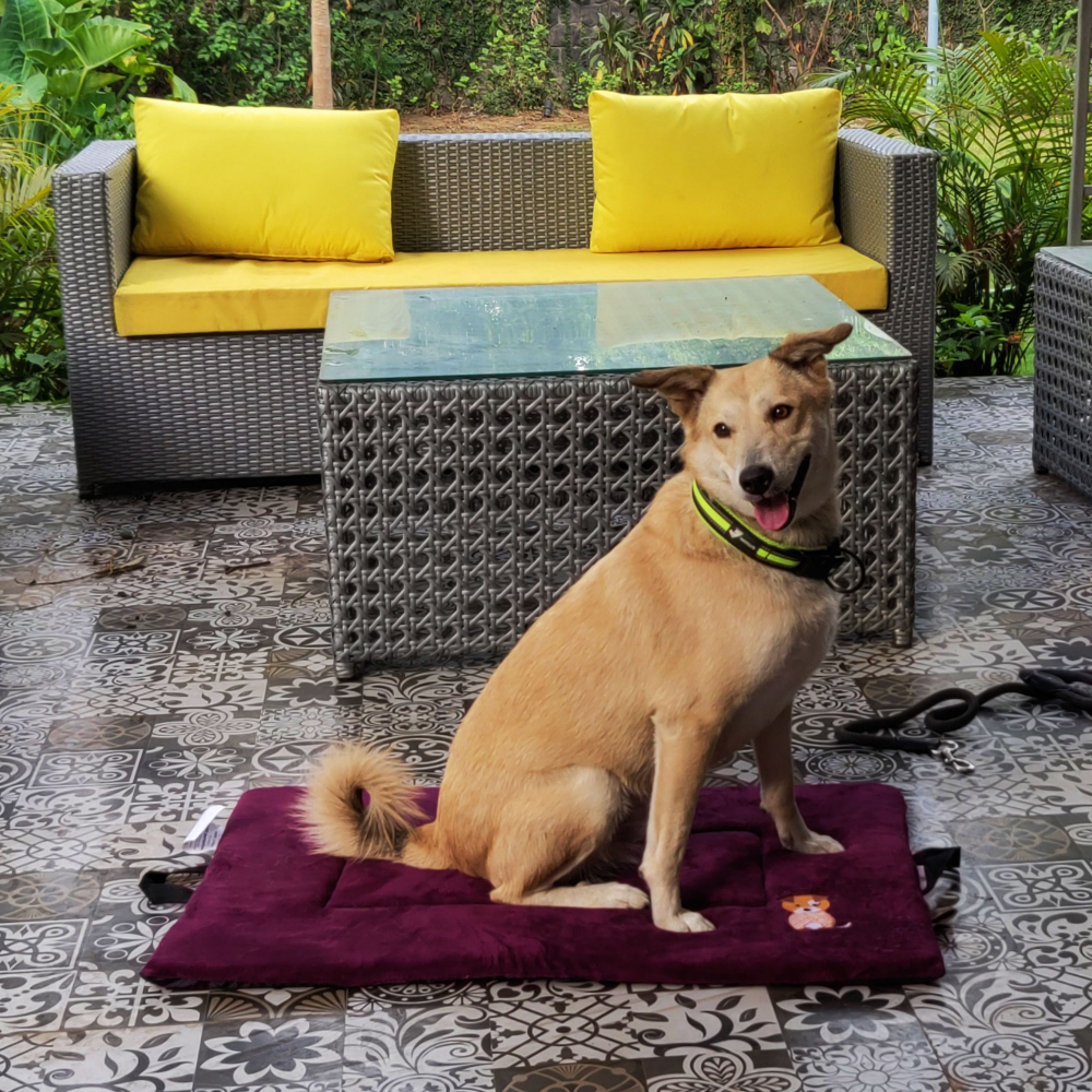 Petter World Orthopedic Memory Foam Base with Cooling Gel Summer Mat for Dogs and Cats (Mulled Wine) image 3
