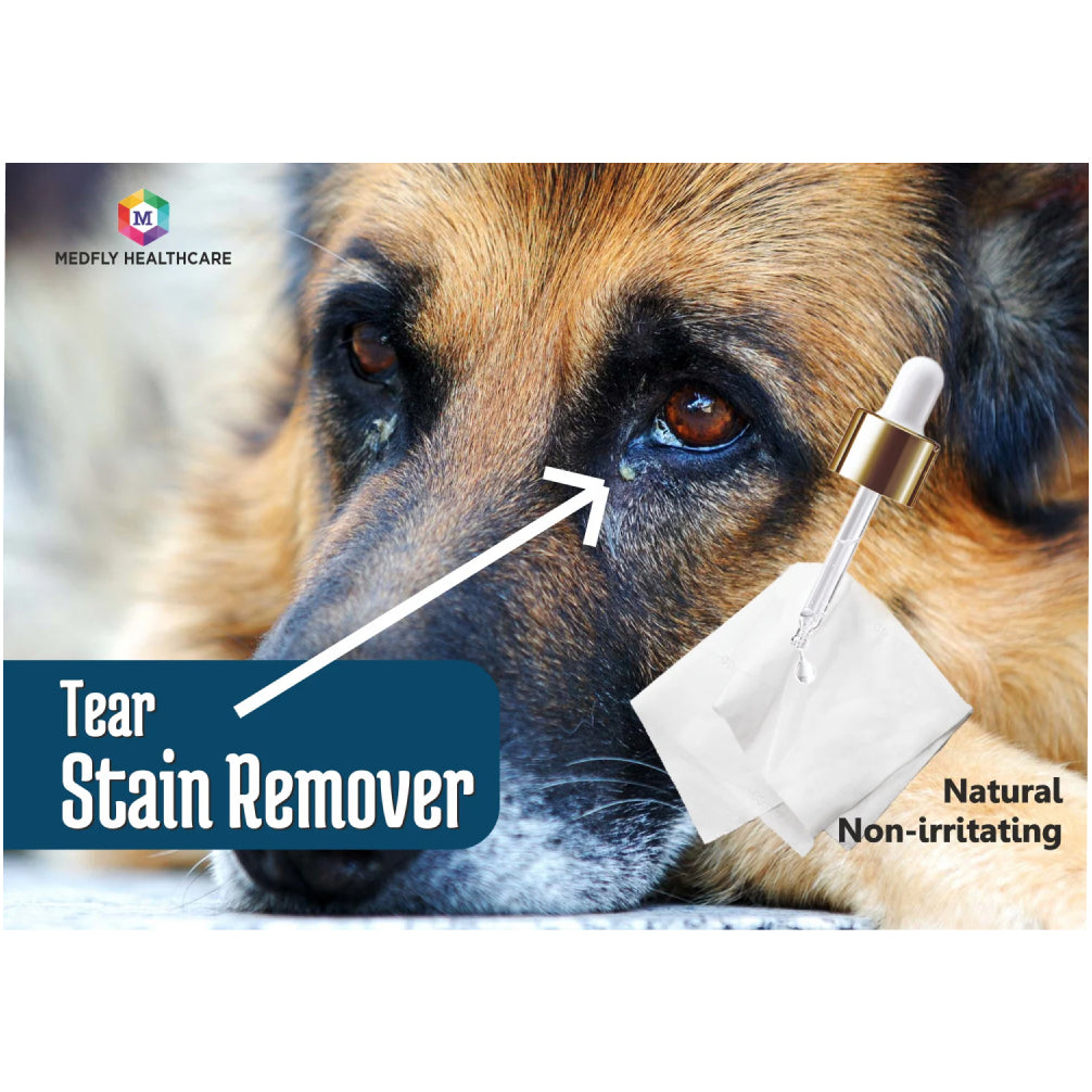 Medfly Healthcare VisioNex Tear Stain Remover for Dogs and Cats image 4