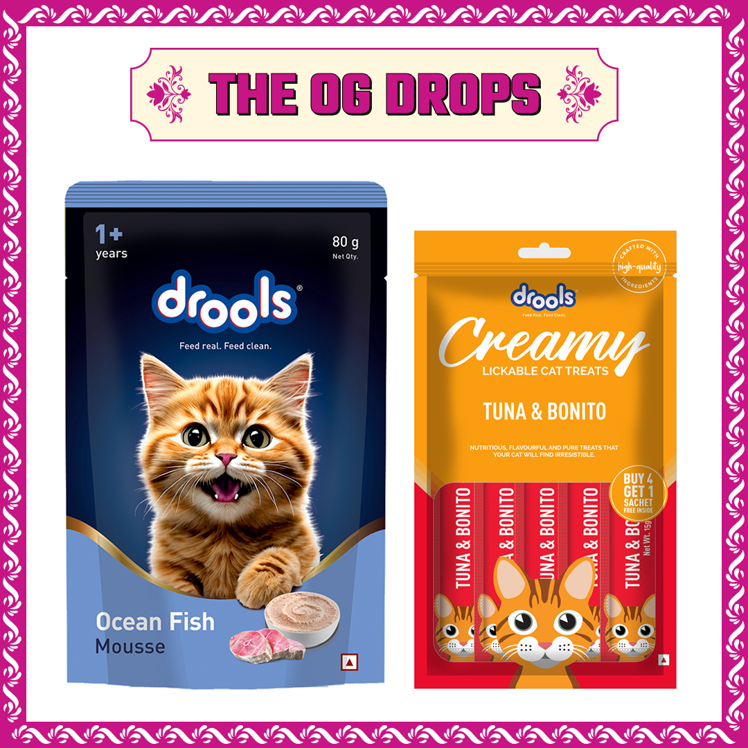 Drools Ocean Fish Mousse Adult Cat Wet Food image 3