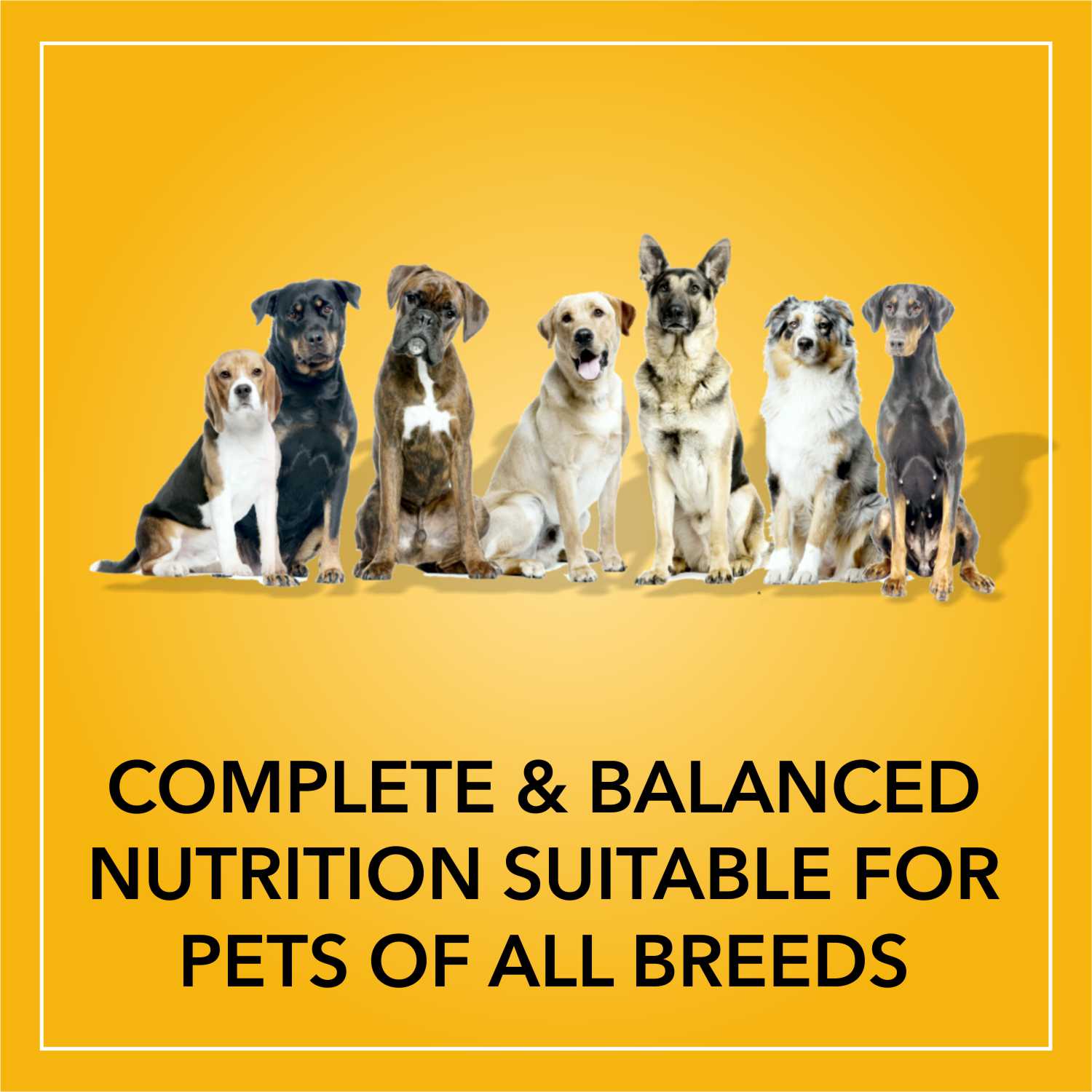 Purepet Smoked Chicken Adult Dry Dog Food image 4