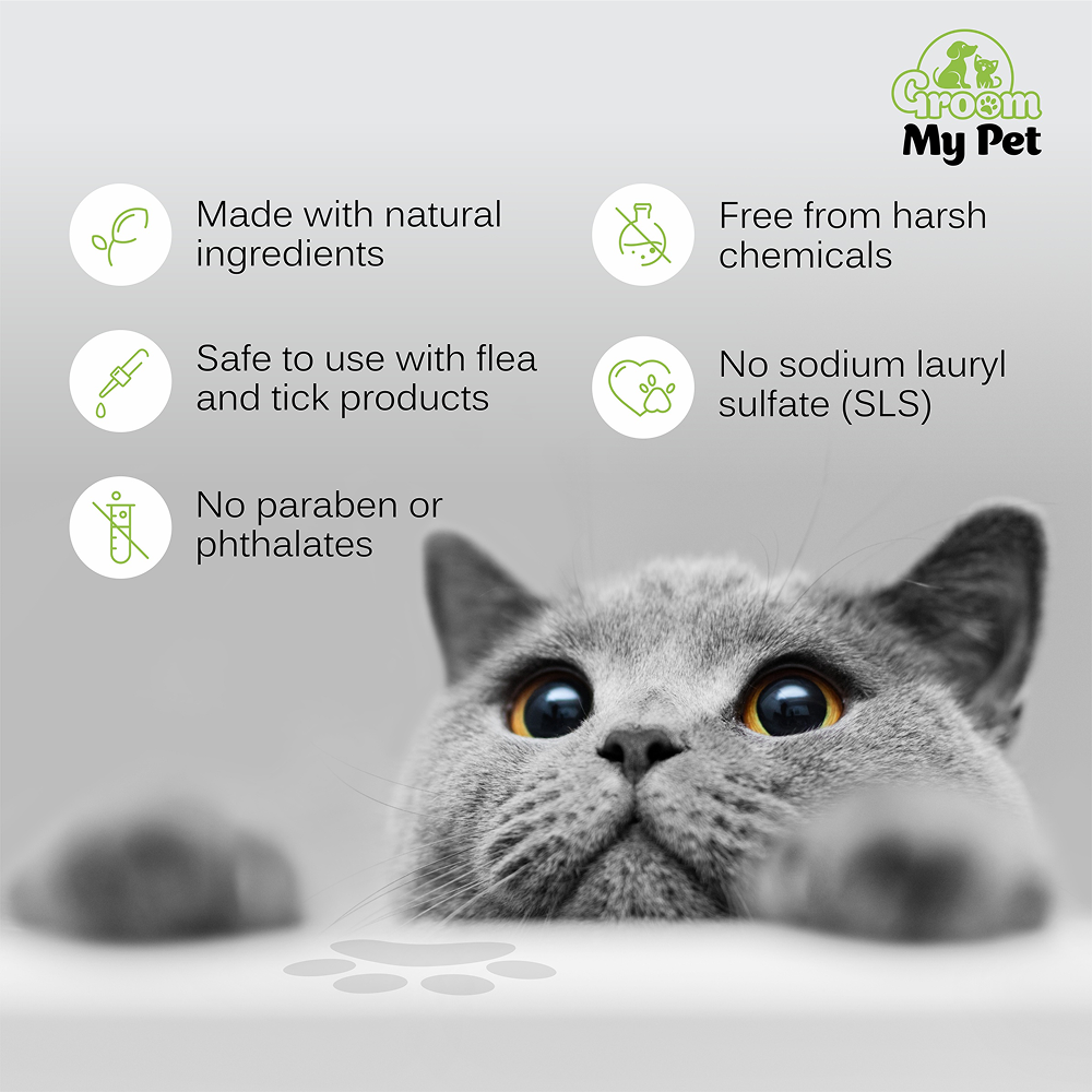 Groom My Pet Anti Itch & Dandruff Conditioning Shampoo for Cats image 4