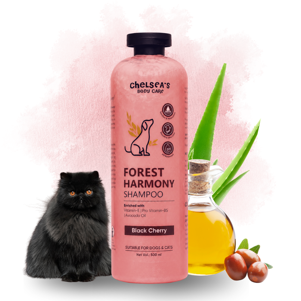 Dr. Chelsea's Forest Harmony Shampoo & Conditioner for Cats & Dogs image 9