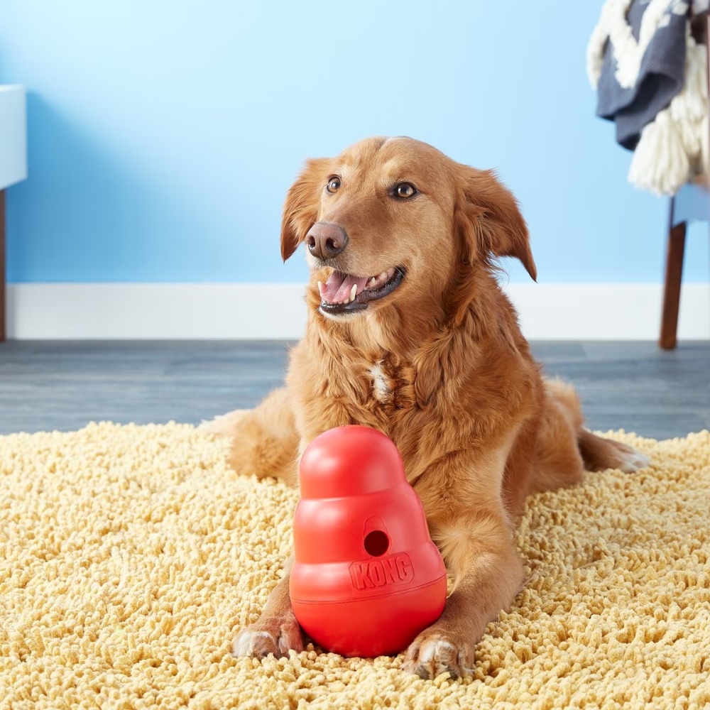 Kong Wobbler Toy for Dogs (Red) | For Aggressive Chewers image 9
