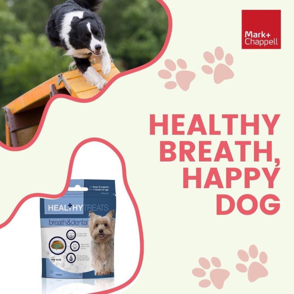 Mark and Chappell Healthy Teething Puppy Treats image 10