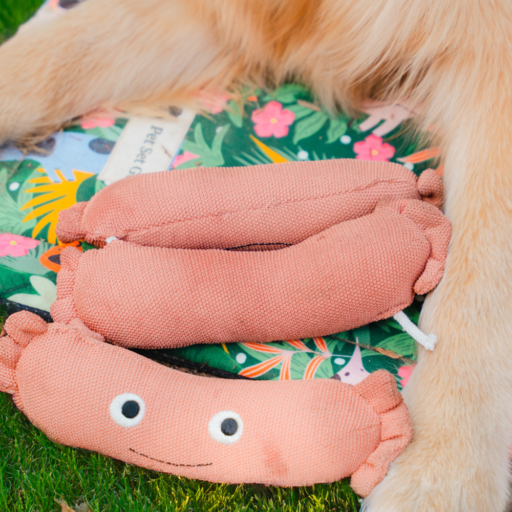 Pet Set Go Sausage Plush Toy for Dogs (Brown) image 5