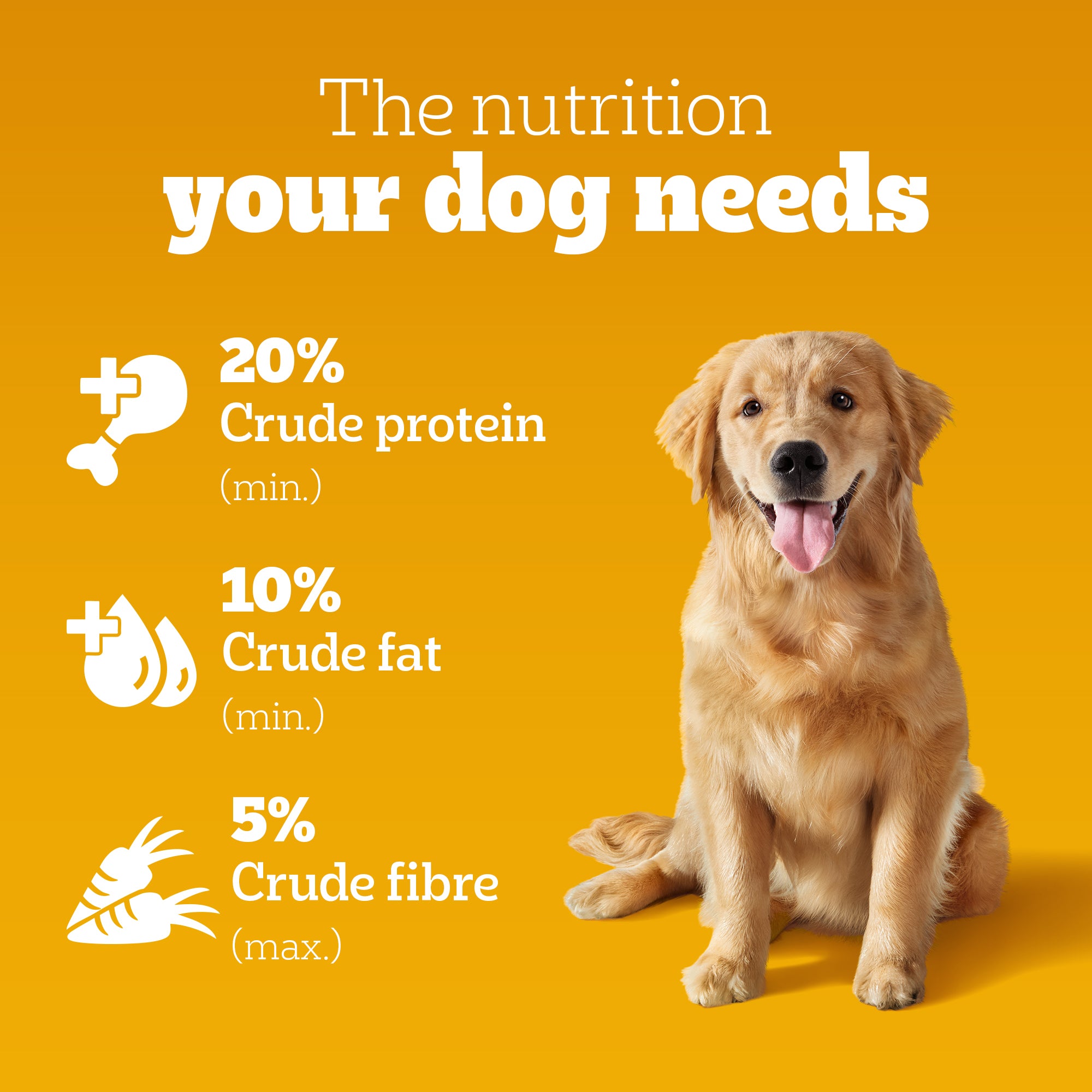 Pedigree Chicken and Vegetables Adult Dry Dog Food image 6