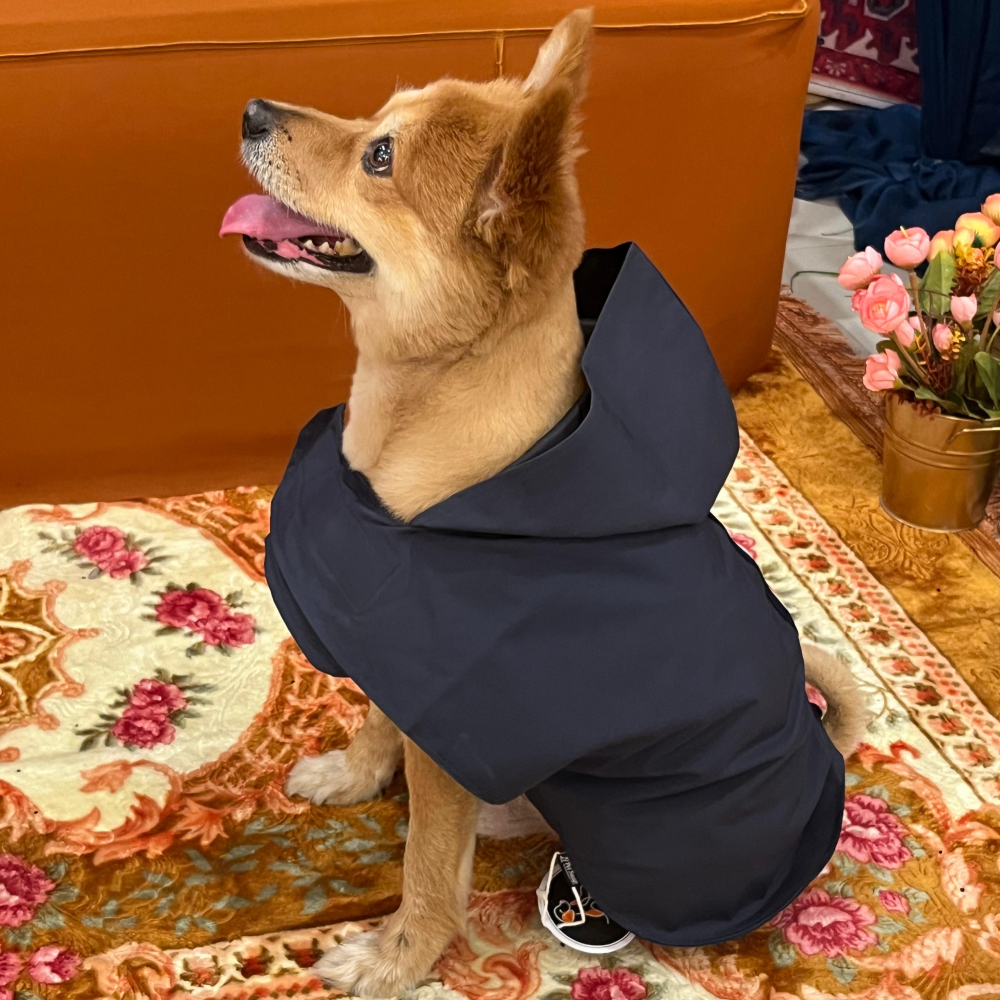 Petsnugs 100% Waterproof Raincoat for Dogs and Cats (Navy Blue) image 2