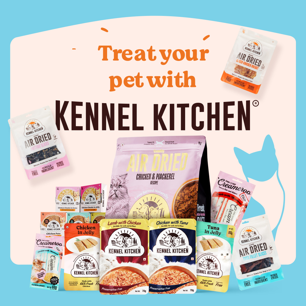 Kennel Kitchen Fish Gravy All Life Stage Wet Food, Scoopy Lavender Natural Brown Sand Cat Litter Combo image 4
