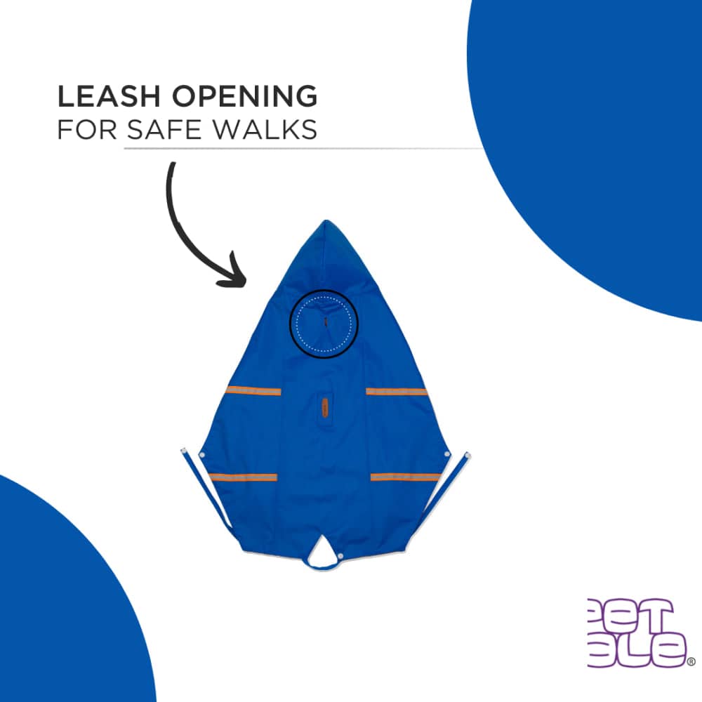 PetWale Reflective Raincoat for Dogs (Royal Blue) image 5