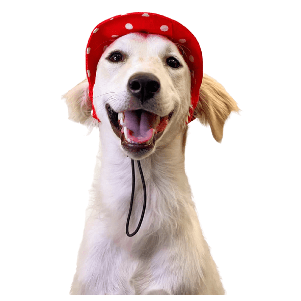 Pawgypets Polka Cap for Dogs and Cats (Red) image 2