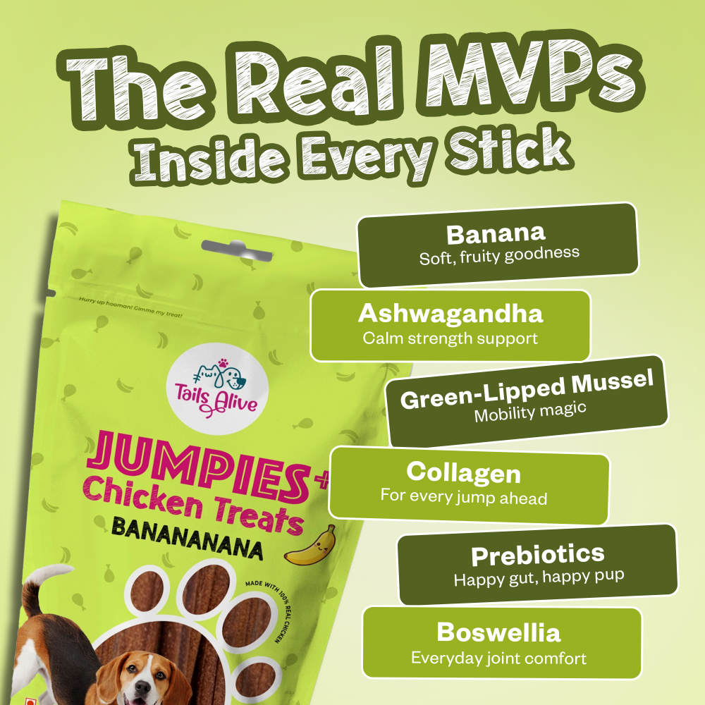 Tails Alive Jumpies+ Banana Chicken Treats Chew Sticks for Dogs image 4