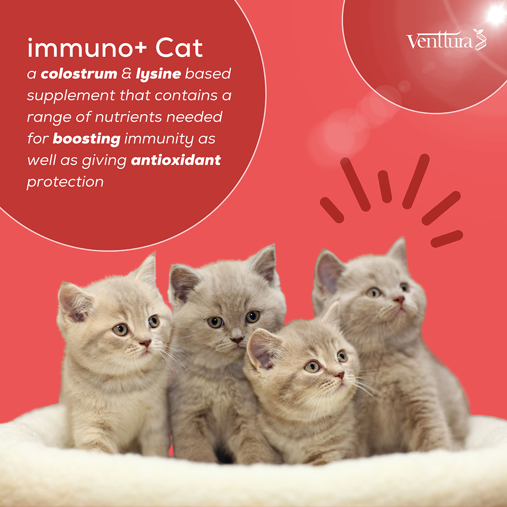 Venttura Immunity Booster & Calming Supplement for Cats image 5