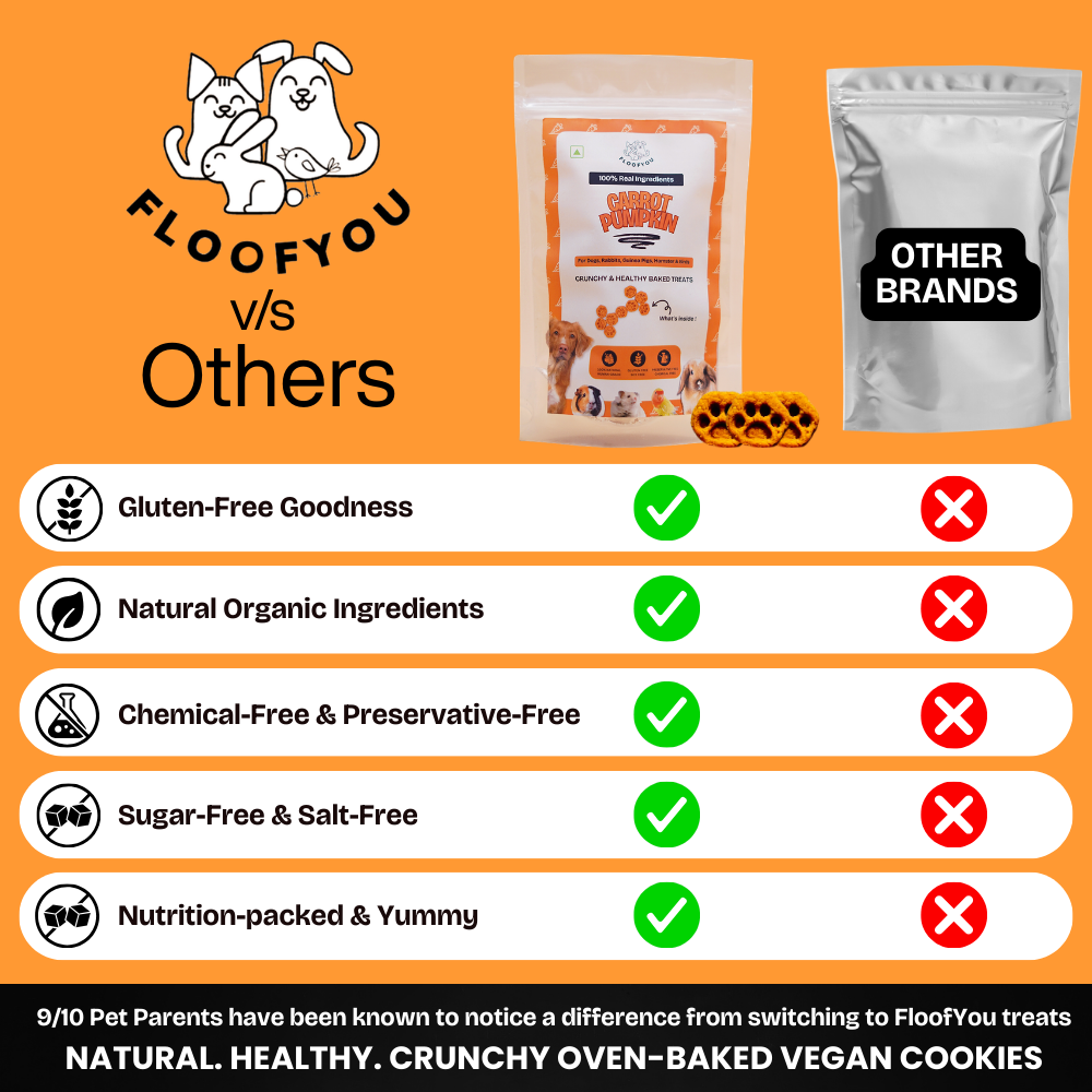 FloofYou Oven Baked Carrot Pumpkin Small Animal Treats image 3