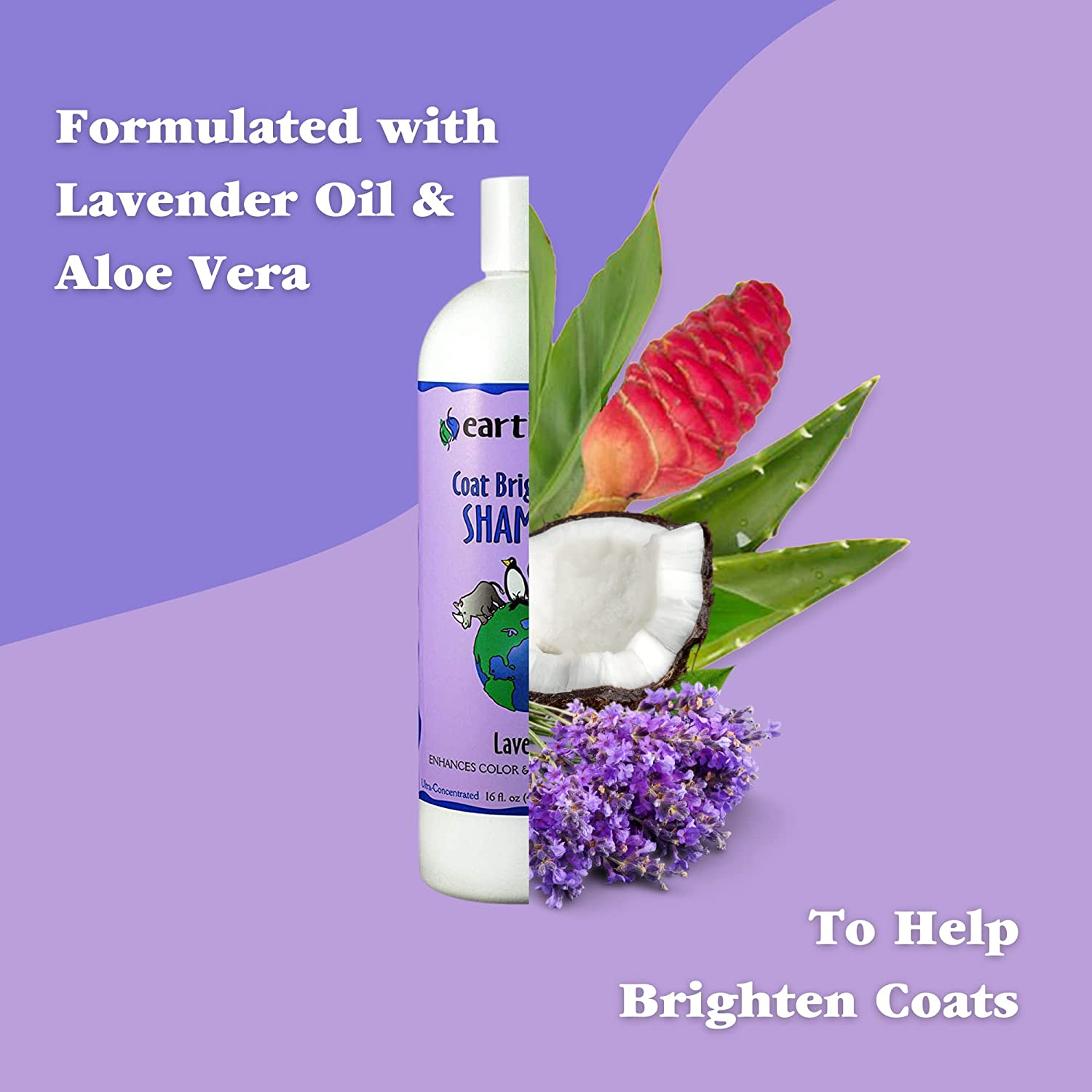 EarthBath Lavender Coat Brightening Shampoo for Dogs and Cats image 3