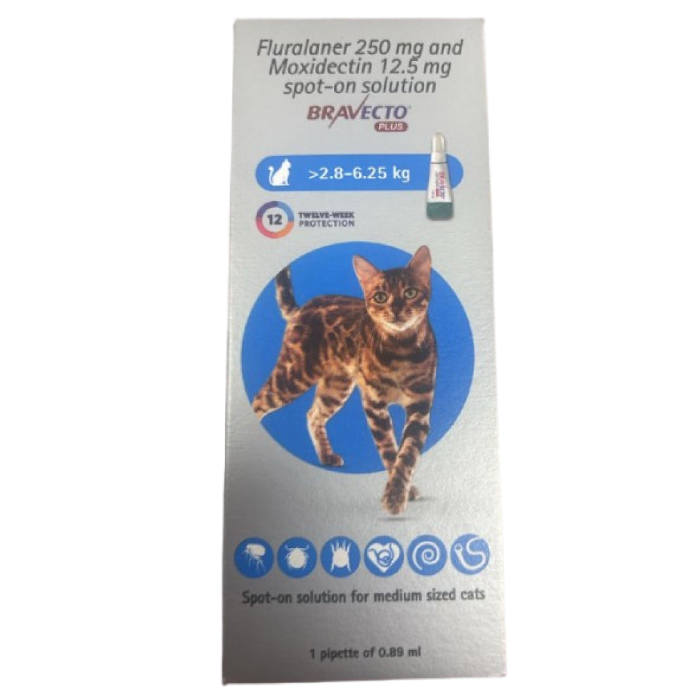 MSD Animal Health Bravecto 250mg (Fluralaner) Spot On Solution for Medium Sized Cats image 1